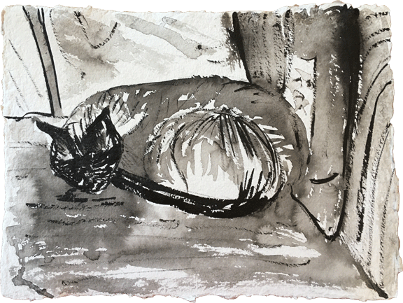 Creatures & Still Lives . Nov 18: Downward Cat